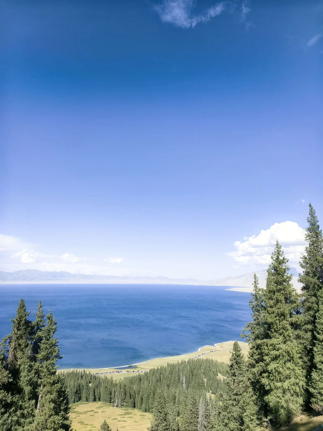 秋日限定阿勒泰地區等地美到失語快衝