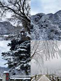 玉塵飛瀑，瓊枝漫山！快來捕捉翠華山的冬日限定浪漫~