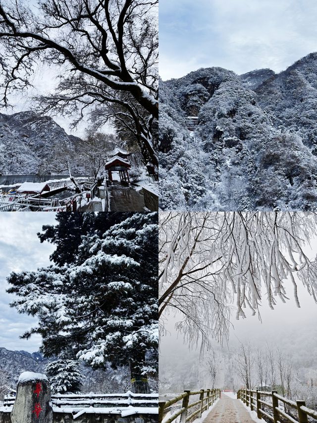 玉塵飛瀑，瓊枝漫山！快來捕捉翠華山的冬日限定浪漫~