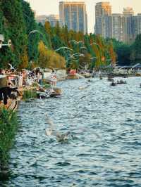 大理4天3晚遊，說說我的真實感受和建議