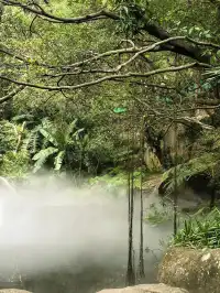 廈門植物園鐘鼓索道懶人版