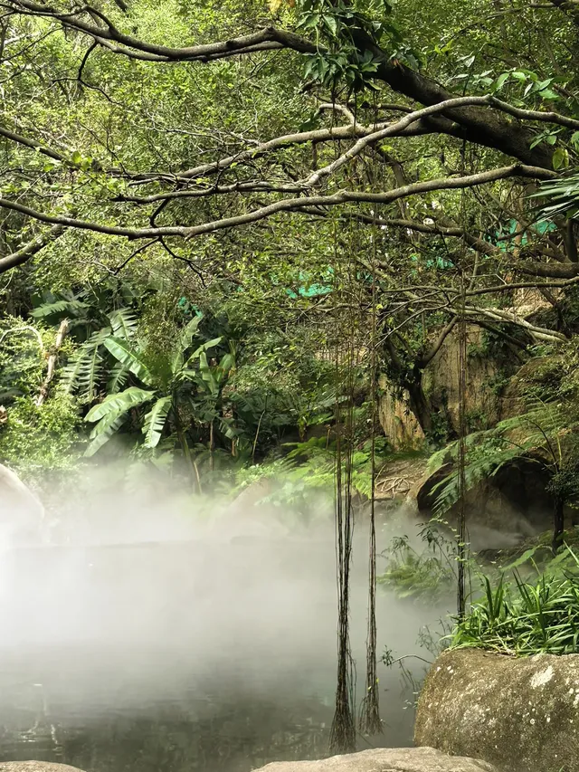 廈門植物園鐘鼓索道懶人版 廈門植物園鐘鼓索道懶人版
