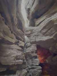 Shanghai’s Ultimate Urban Jungle Adventure🎉: Parent-Child Weekend Guide 🌿🤩