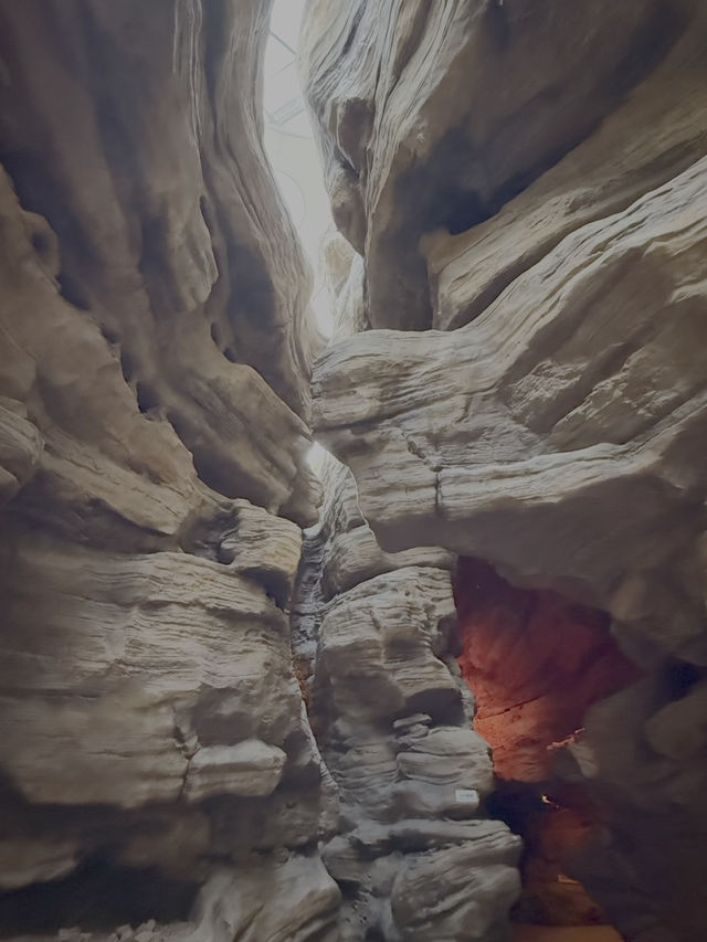 Shanghai’s Ultimate Urban Jungle Adventure🎉: Parent-Child Weekend Guide 🌿🤩 Shanghai’s Ultimate Urban Jungle Adventure🎉: Parent-Child Weekend Guide 🌿🤩