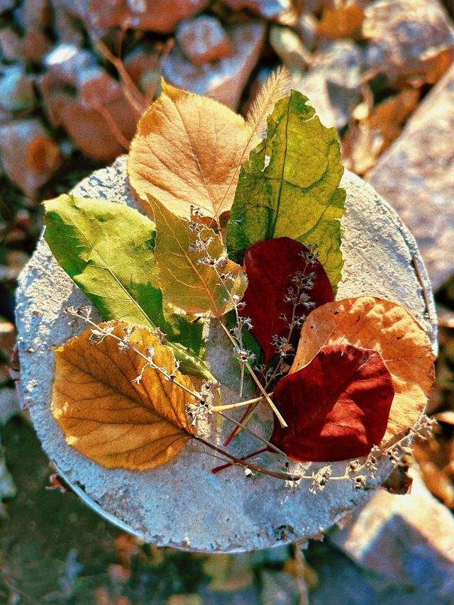 京郊徒步封神！蠶姑坨南天門保姆級攻略