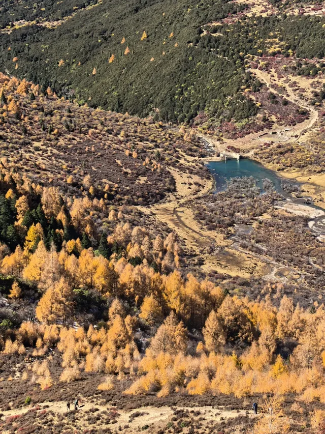 四姑娘山|此刻,追到了川西的絕美秋景! 四姑娘山|此刻,追到了川西的絕美秋景!