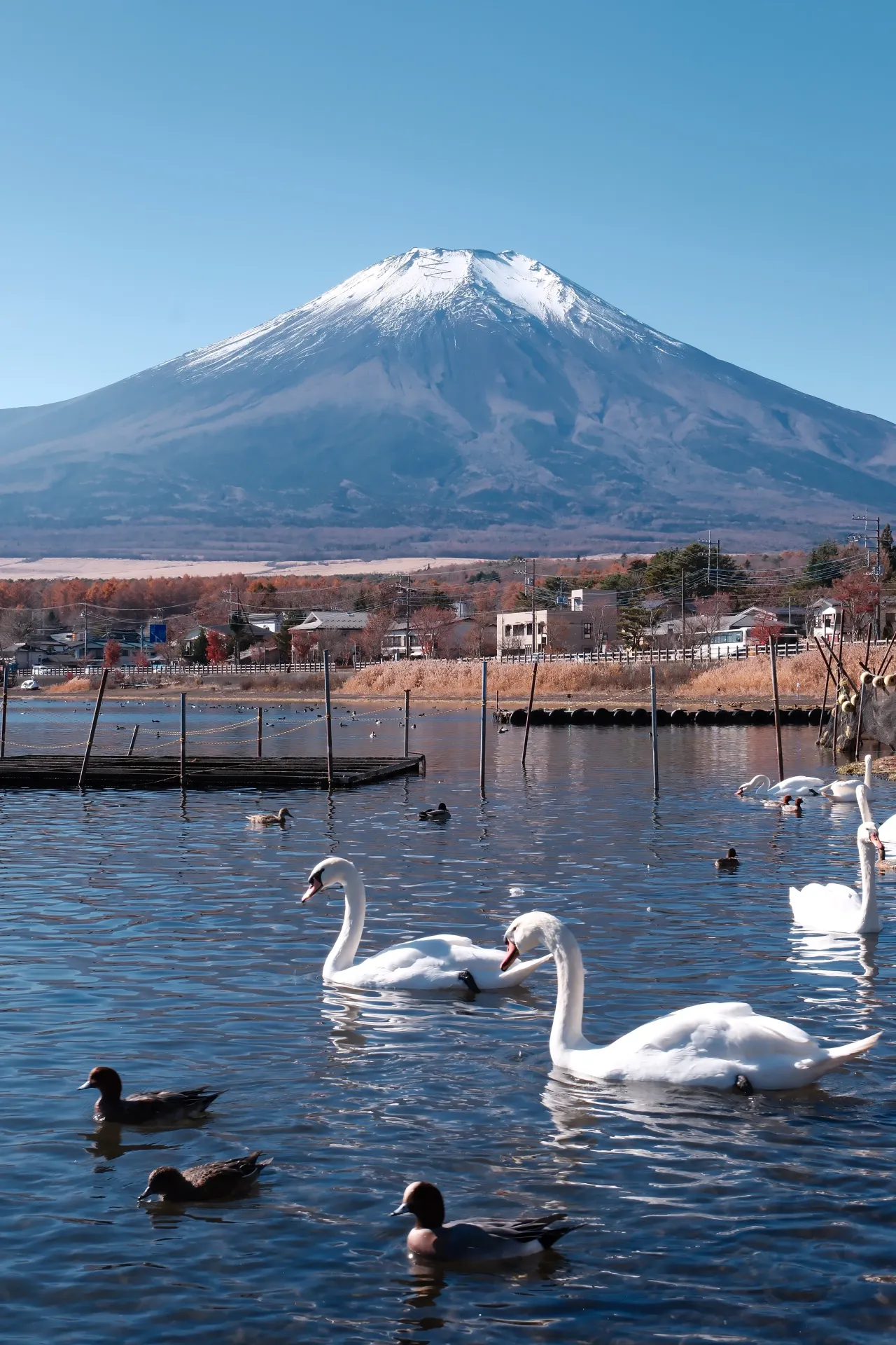 Lake Yamanaka Tickets [2026] - Promos, Prices, Reviews & Opening