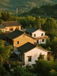 秋日遛娃天花板！莫干山紅楓秘境親子遊攻略