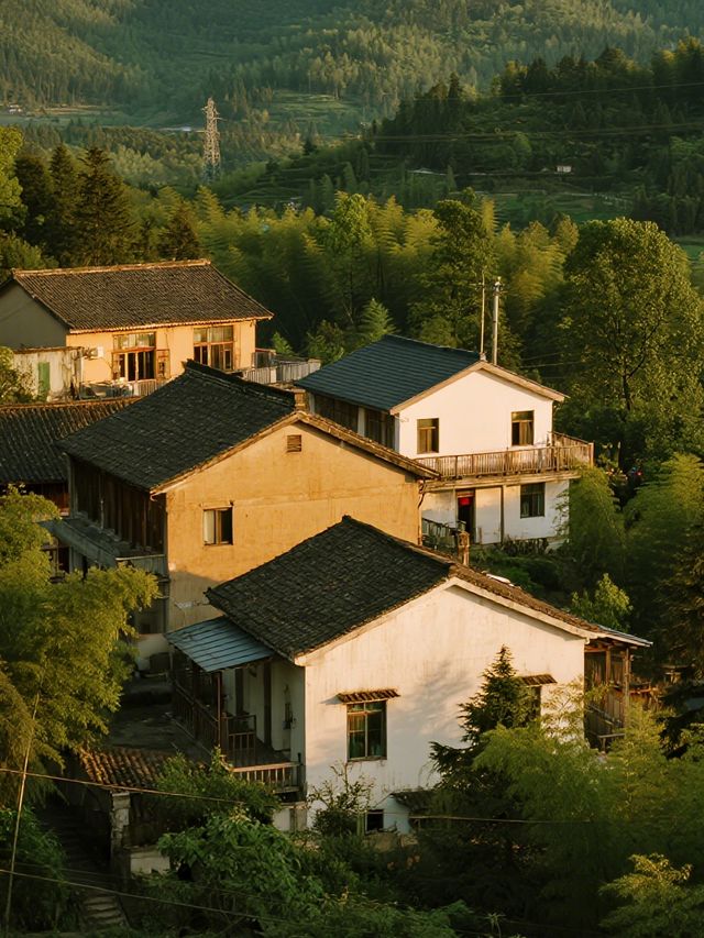 秋日遛娃天花板！莫干山紅楓秘境親子遊攻略