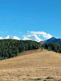 新都橋秋日攝影天花板