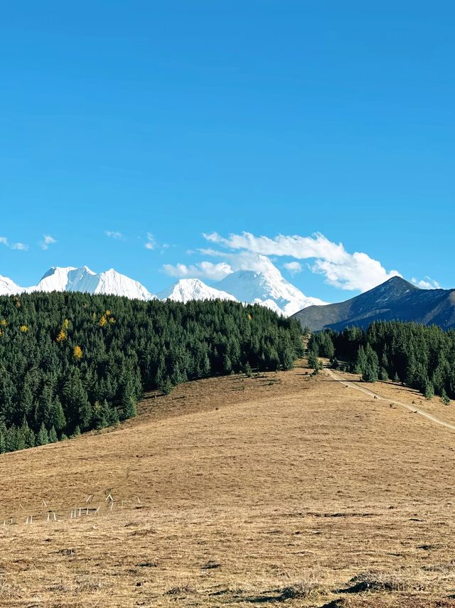 新都橋秋日攝影天花板 新都橋秋日攝影天花板