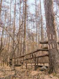 淨月潭：在冷杉林與月亮之間豢養一汪液態翡翠