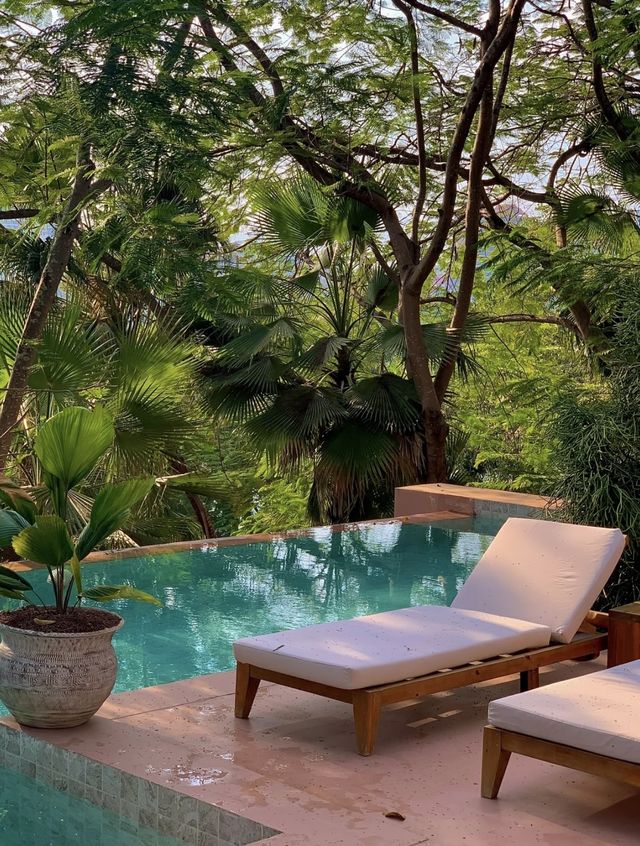 房間很大，酒店很小｜住進西雙版納的熱帶雨林裡度假