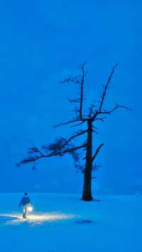 實拍新疆阿勒泰，人生一定要帶愛的人去一次