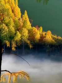 江蘇人嘴真嚴,這麼美的地方藏著不說~