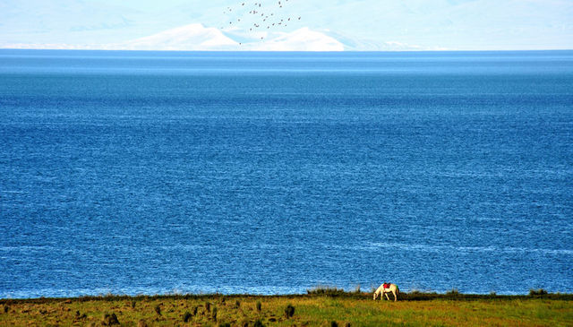西寧等地4日遊超全攻略速來get 西寧等地4日遊超全攻略速來get
