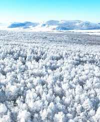 根河市霧淞景觀如夢幻冰雪