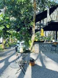 西雙版納5星住宿天花板：懸崖view+雲海