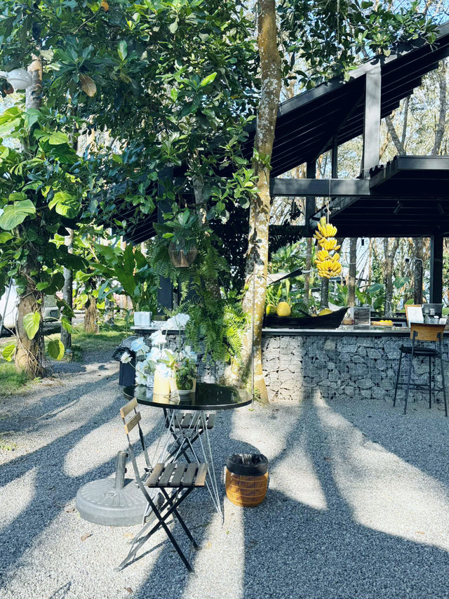 西雙版納5星住宿天花板：懸崖view+雲海