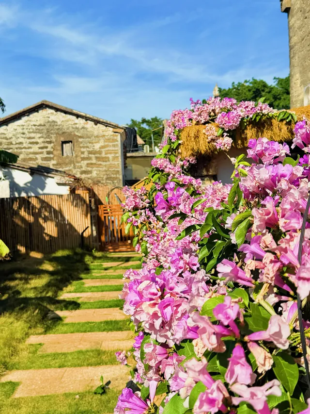 涠洲島根本不是島 涠洲島根本不是島