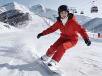 我將持續做這份不踩雷攻略 直到你收藏為止