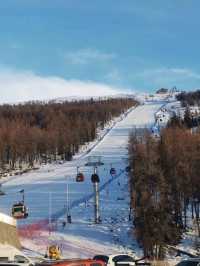 歡迎來可可托海國際度假區遊玩