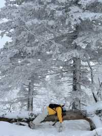 冬日仙境之旅北大湖滑雪地年度打卡記錄