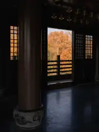 去逍遙津務必上逍遙閣中式秋景太絕了