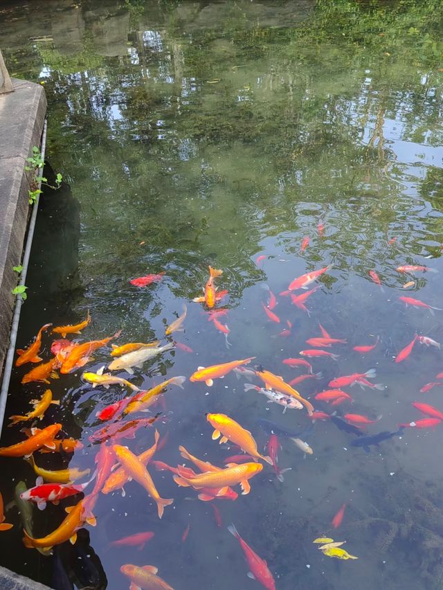 濟南寶藏免費景點!五龍潭公園遊玩全攻略 濟南寶藏免費景點!五龍潭公園遊玩全攻略