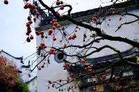 婺源篁嶺:為了出片而生的一座山村