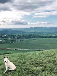 呼倫貝爾1日包車遊美景一路盡收眼底