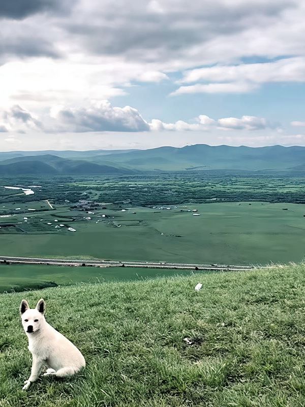 呼倫貝爾1日包車遊美景一路盡收眼底