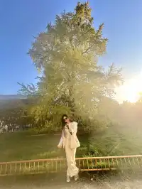 是何老師同款濮院！《嚮往》裡的秋日油畫江南！