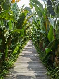 巨出片的崇左必打卡酒店