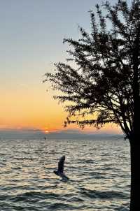 日落是溫柔，浪漫是和你一起看過的瞬間