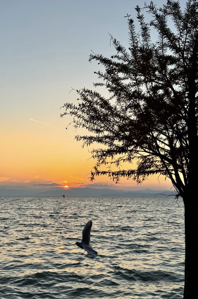 日落是溫柔，浪漫是和你一起看過的瞬間