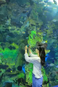 11月來長隆也太爽了