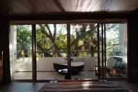 藏在了雨林秘境裡