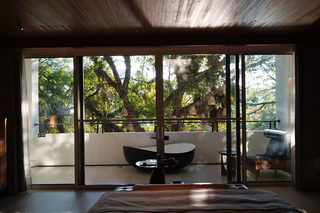 藏在了雨林秘境裡 藏在了雨林秘境裡