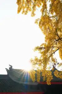 成都|千年古寺裡,藏著一場最禪意的秋色