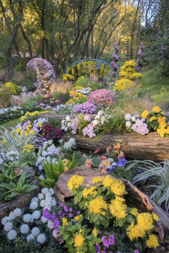 ทริปเทพนิยายรถไฟทะเลดอกไม้