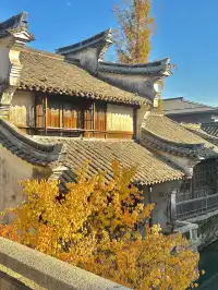 濮院賞秋地圖|拍出明星同款大片!