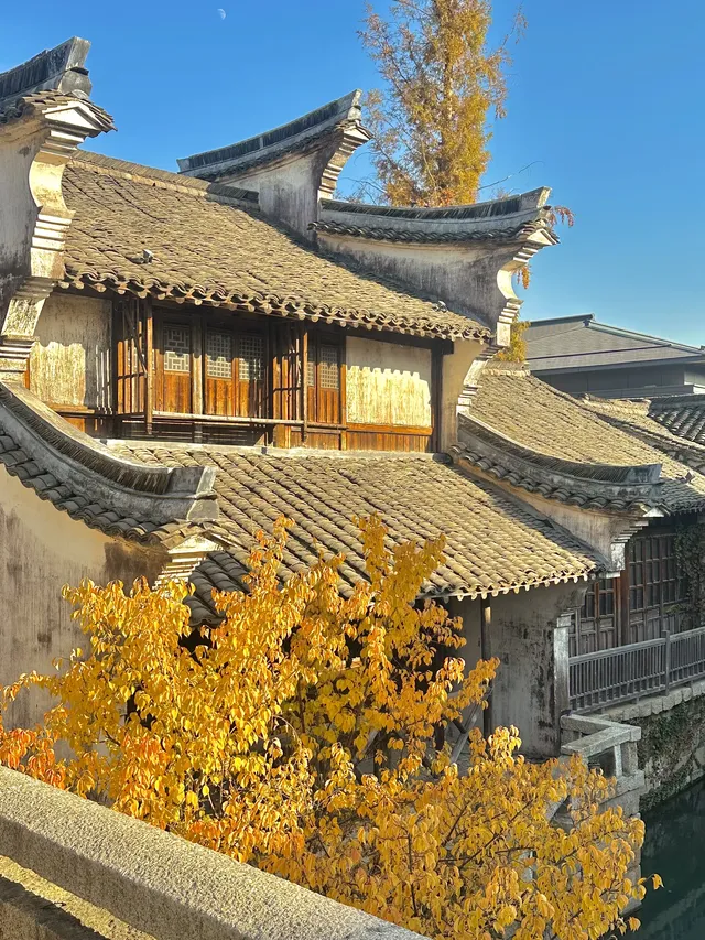 濮院賞秋地圖|拍出明星同款大片! 濮院賞秋地圖|拍出明星同款大片!