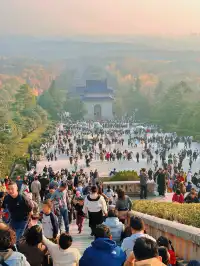 賞秋最美南京|鐘山風景區一天遊