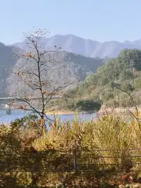 千島湖的秋意已加載完畢