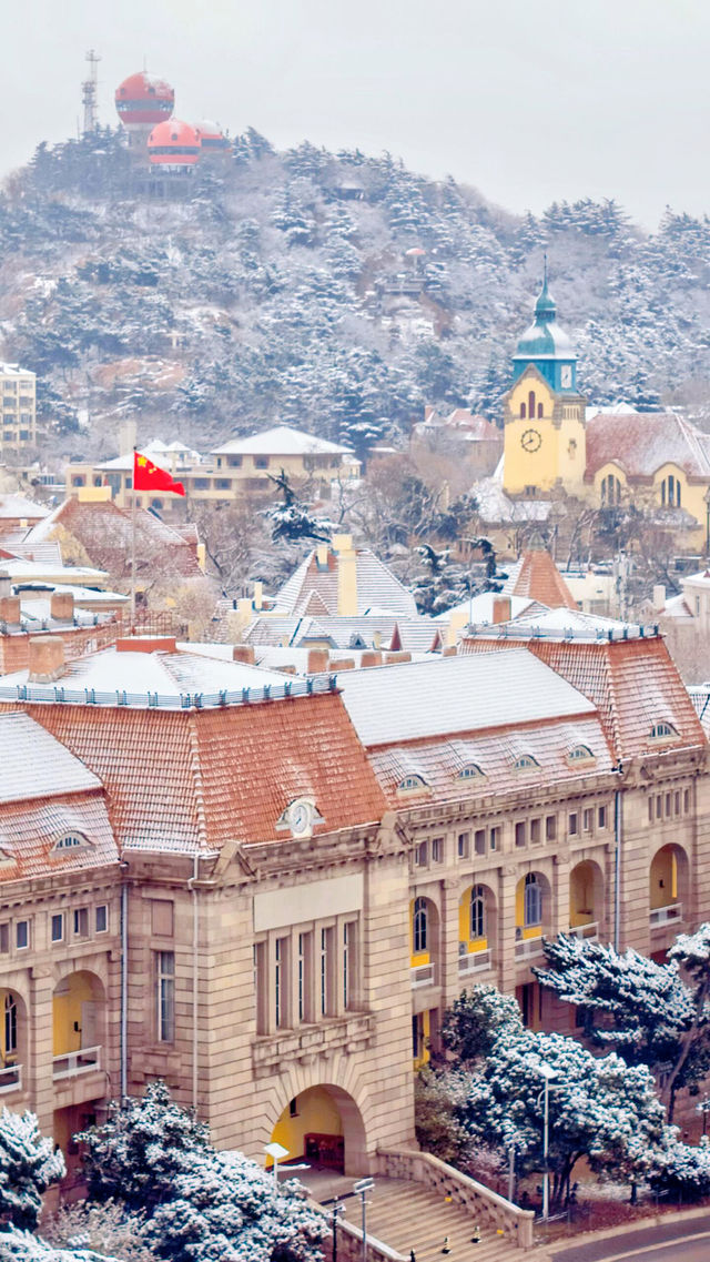 12.13下雪的青島瘋了