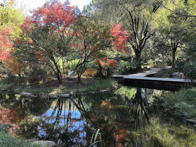 秋天的共青森林公園彷彿是一幅油畫 秋天的共青森林公園彷彿是一幅油畫