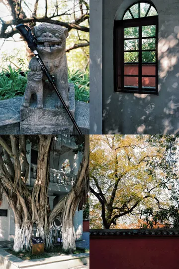 隱山𝟙𝟡|三峽之巔,煙光凝而暮山紫 隱山𝟙𝟡|三峽之巔,煙光凝而暮山紫