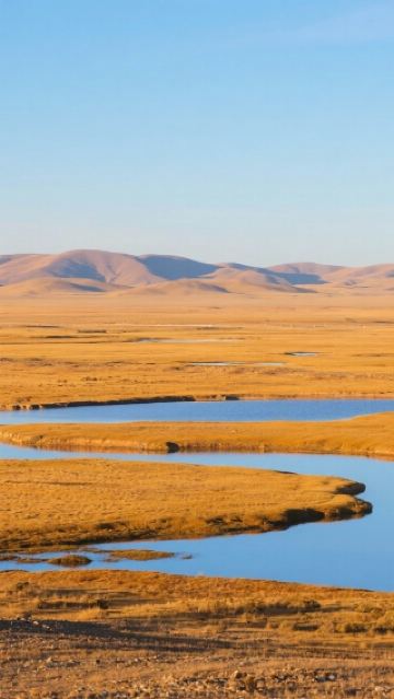 Исследуйте регион Хох-Сил и познакомьтесь с легендами о жизни и дикой природе!