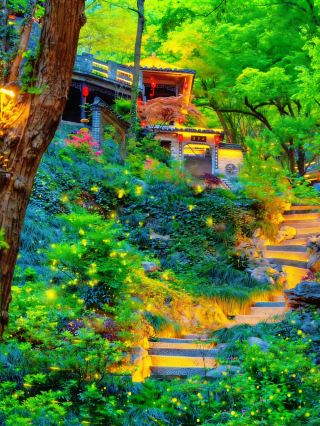 เมืองตงหลิง หย่งฉวน | ทริปพักผ่อนช่วงฤดูใบไม้ผลิ 2 วัน 1 คืน: บ่อน้ำพุร้อน ดอกอะซาเลีย และกองไฟ